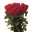 Роза красная Гран-при или Рэд Наоми 70см