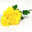 Хризантема в букете БОИНГ 60 см (Желтый)
