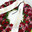 Европейский венок с розами и орхидеями D-60 см.
