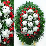 Венок из живых цветов с красной гвоздикой и белой хризантемой №85.