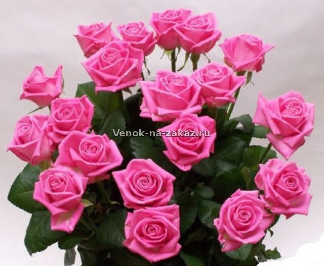 Купить живые цветы на похороны. Роза Аква Venok-na-zakaz.ru