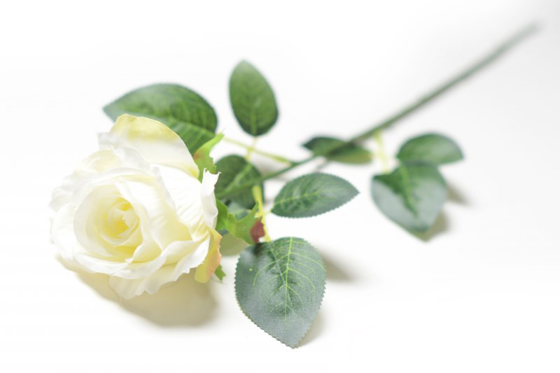Роза искусственная "Байкал" H-62 см. (Белая) - купить искусственные цветы