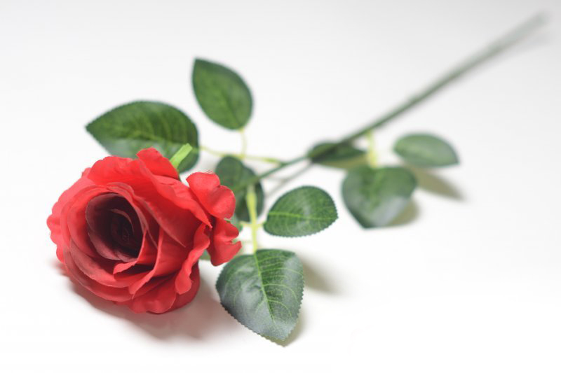 Купить цветы из шелка- Роза "Байкал" H-62 см. (Красная)